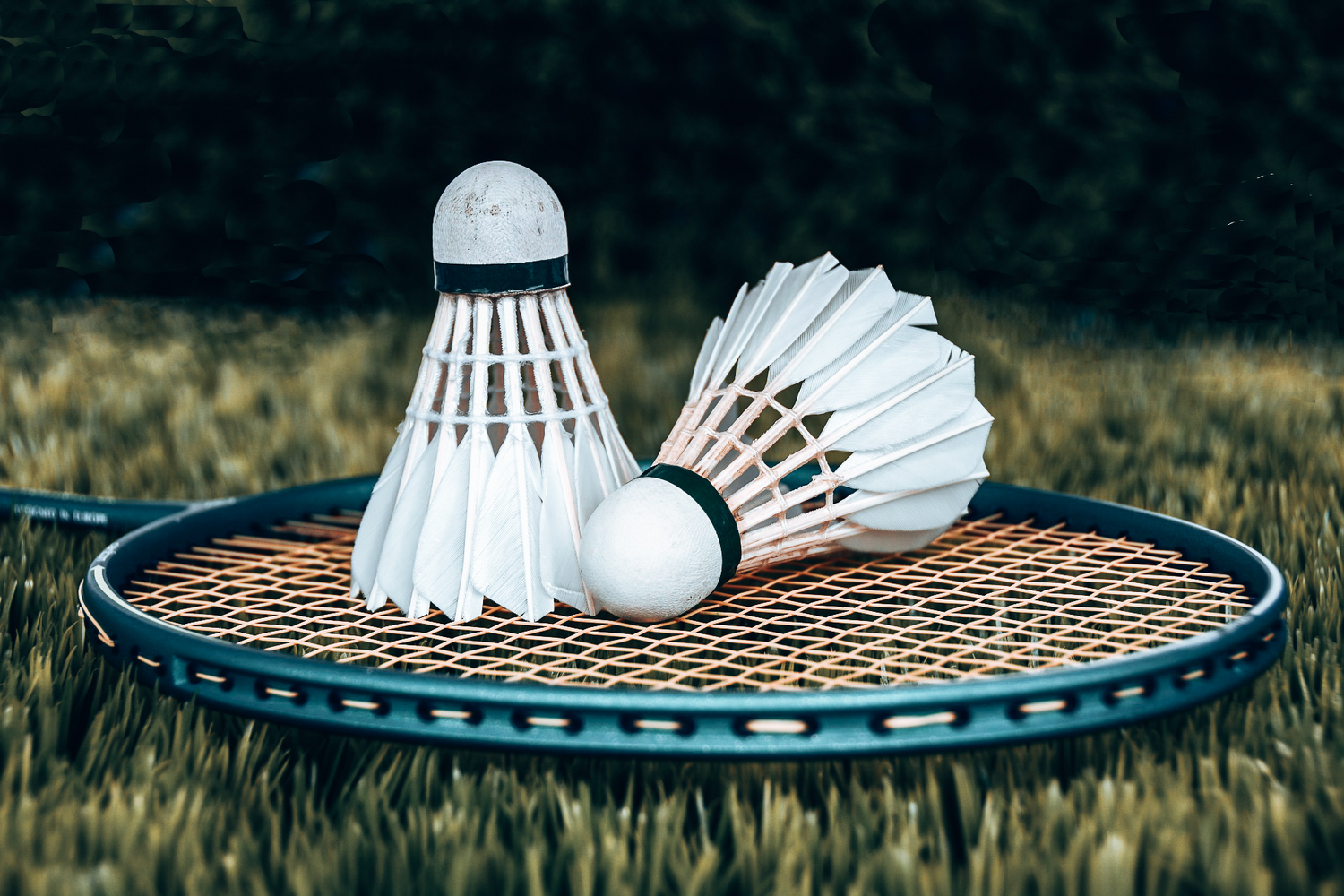 Badminton Ali Sports