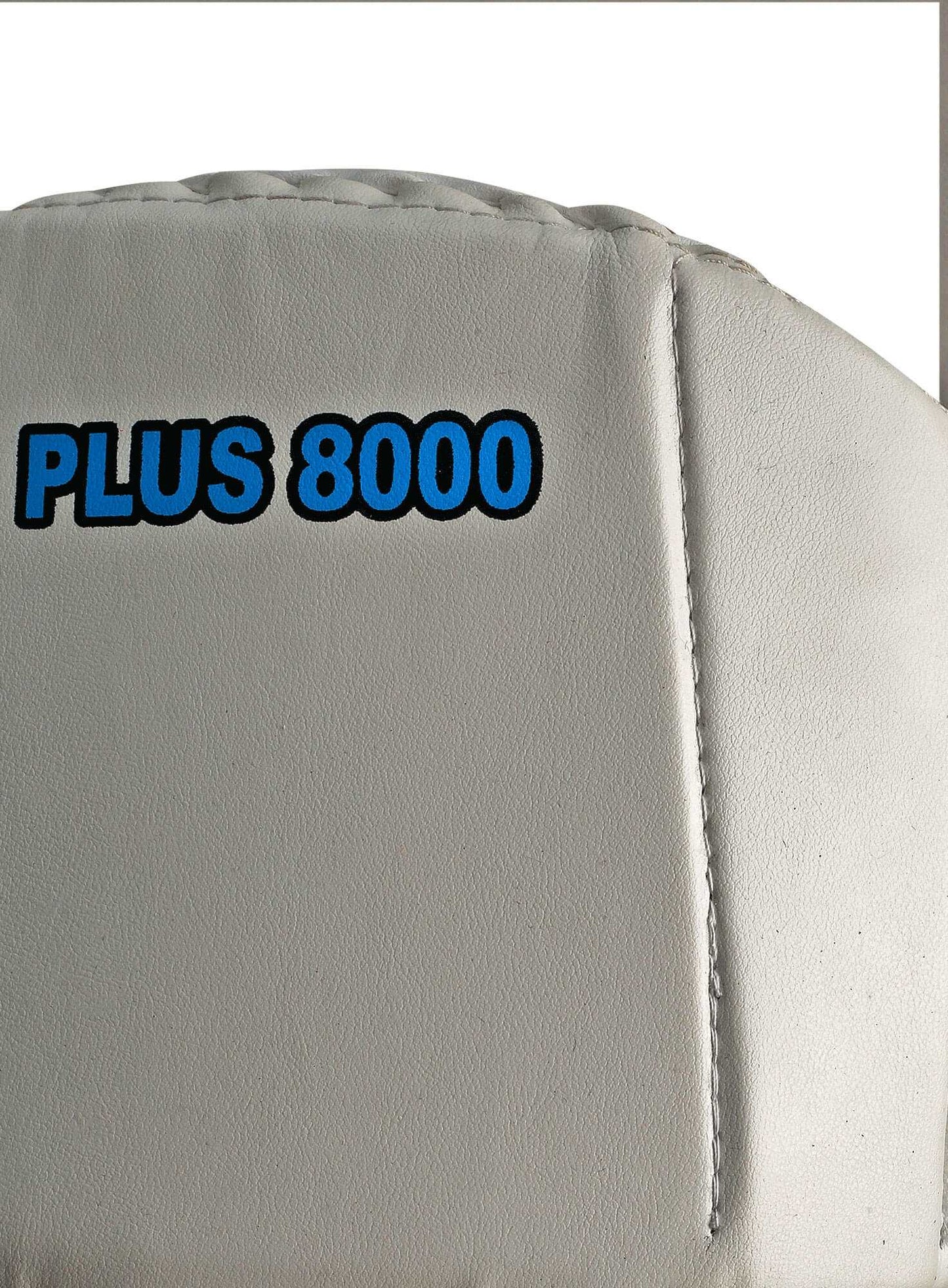 CA Plus 8000 Wicket Keeping Pads - Ali Sports