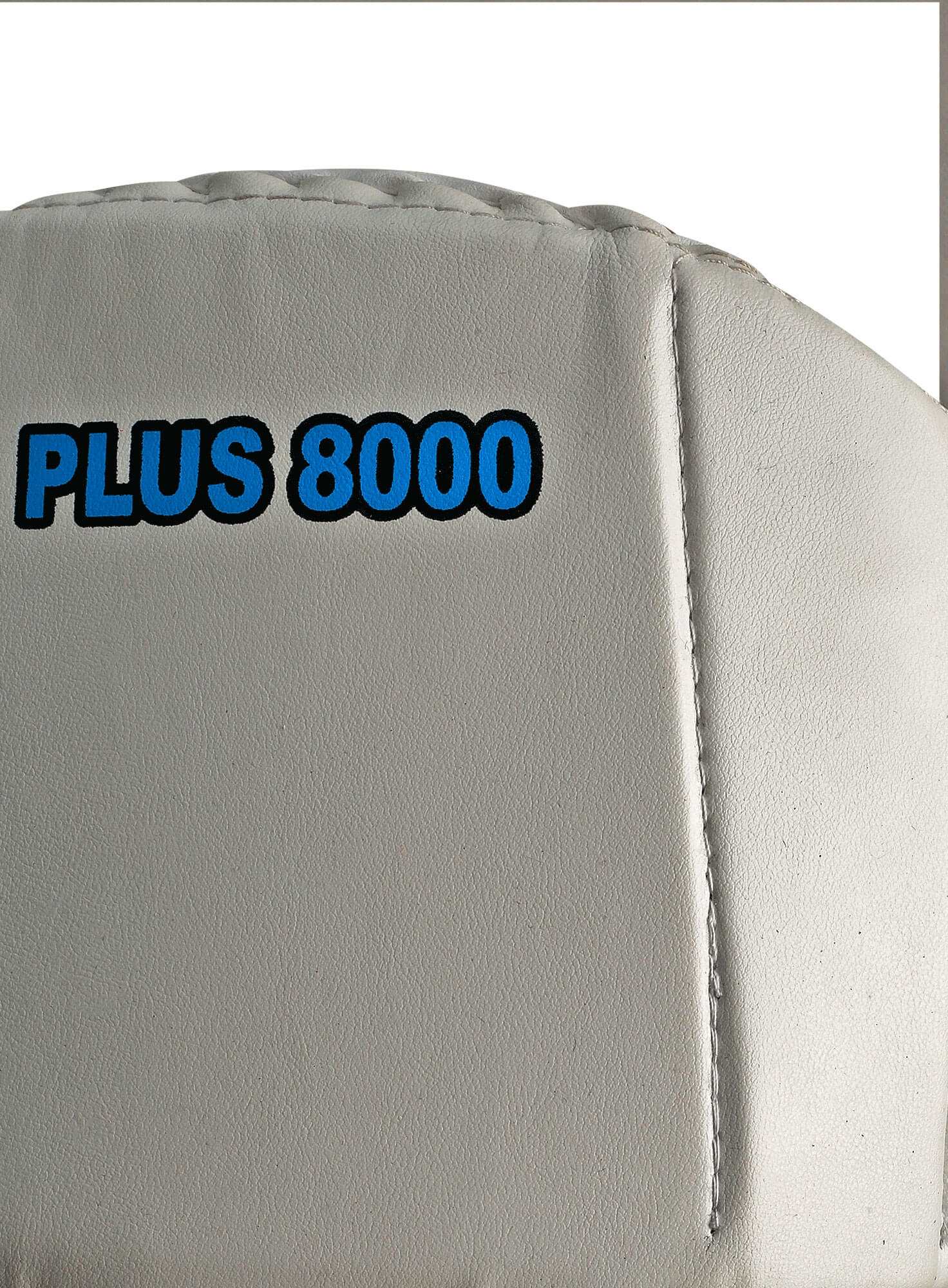 CA Plus 8000 Wicket Keeping Pads - Ali Sports