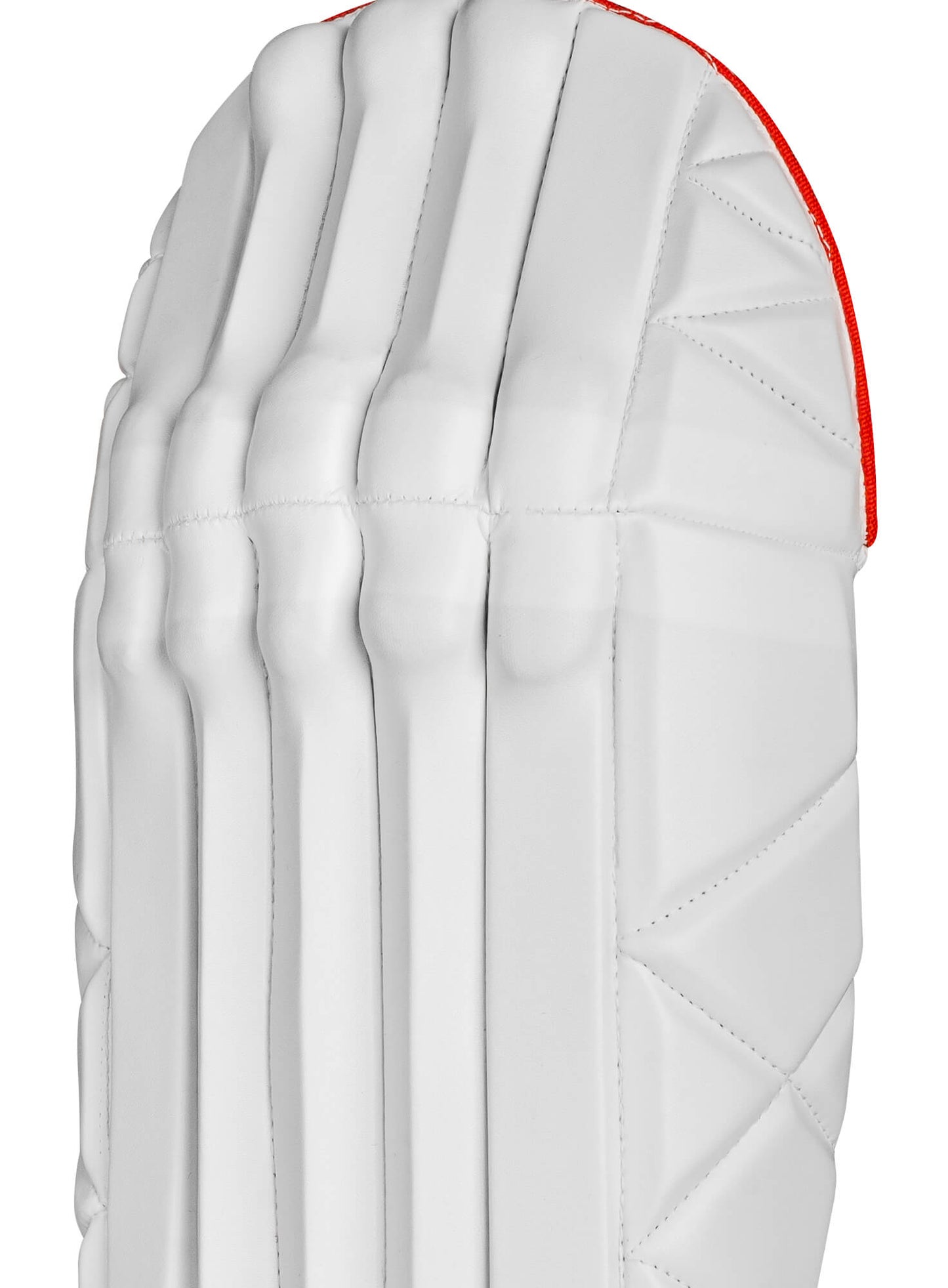 CA Gold Player Edition Wicket Keeping Pads - Ali Sports