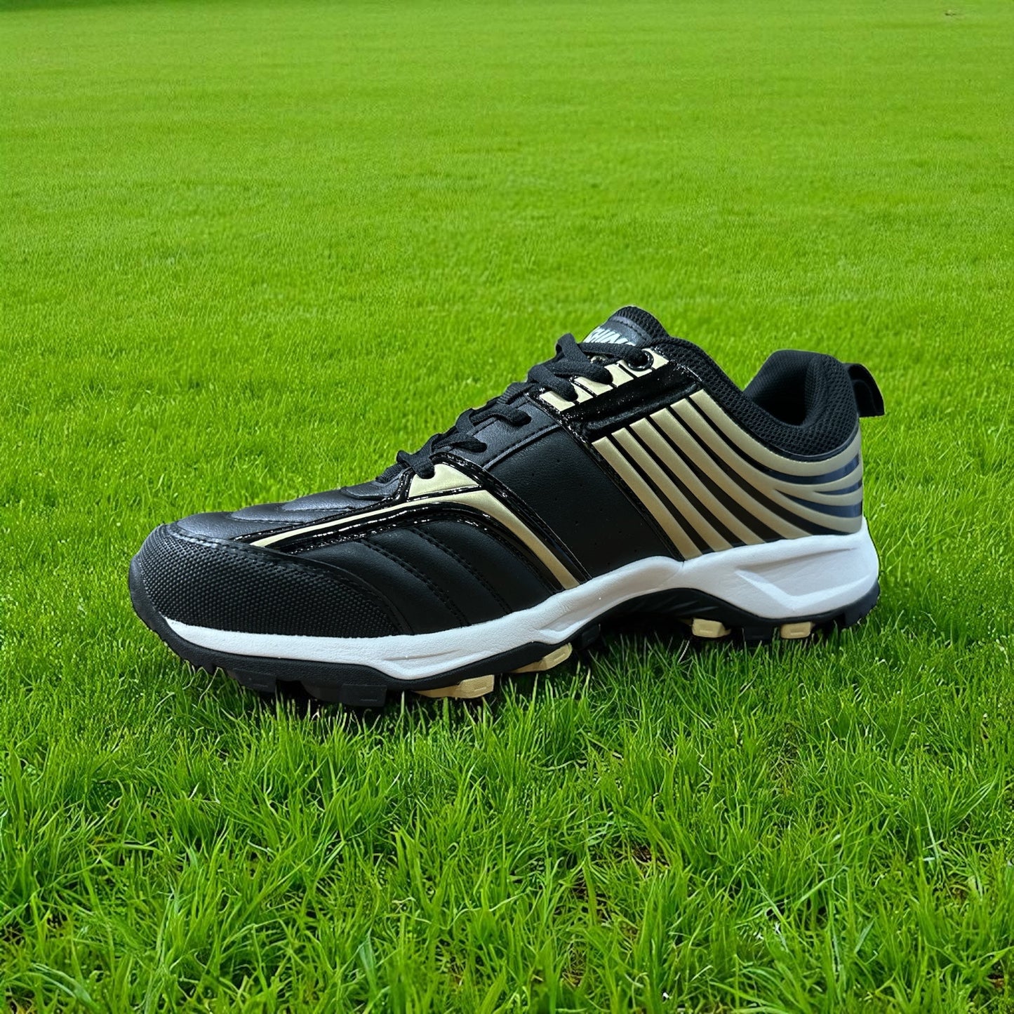 Shine SH5000 Cricket Shoes Shine