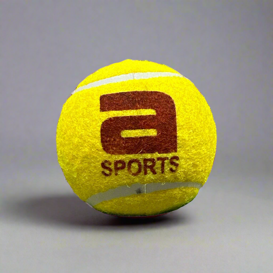 Ali Sports Champions Edition Cricket Ball (Pack of 6)