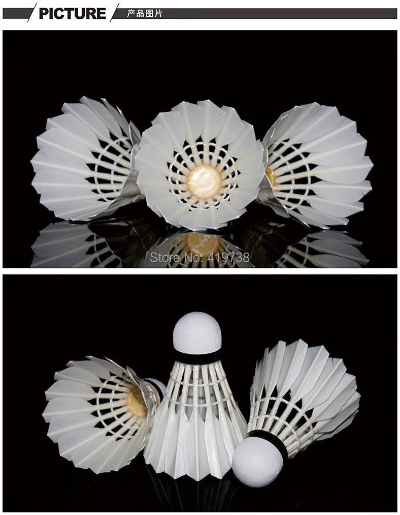 Wecan Gold Badminton Feather Shuttlecocks - 1 Dozen - Ali Sports