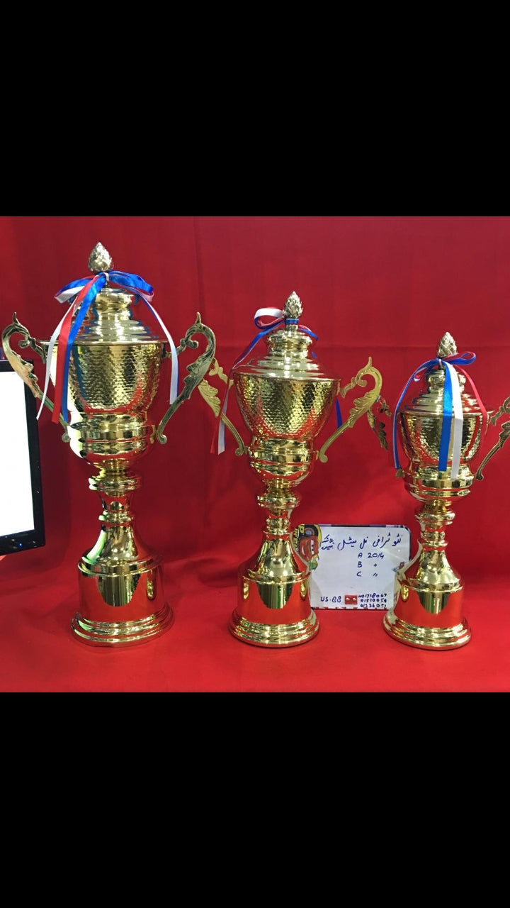 SP2014 Metal Trophy - Ali Sports