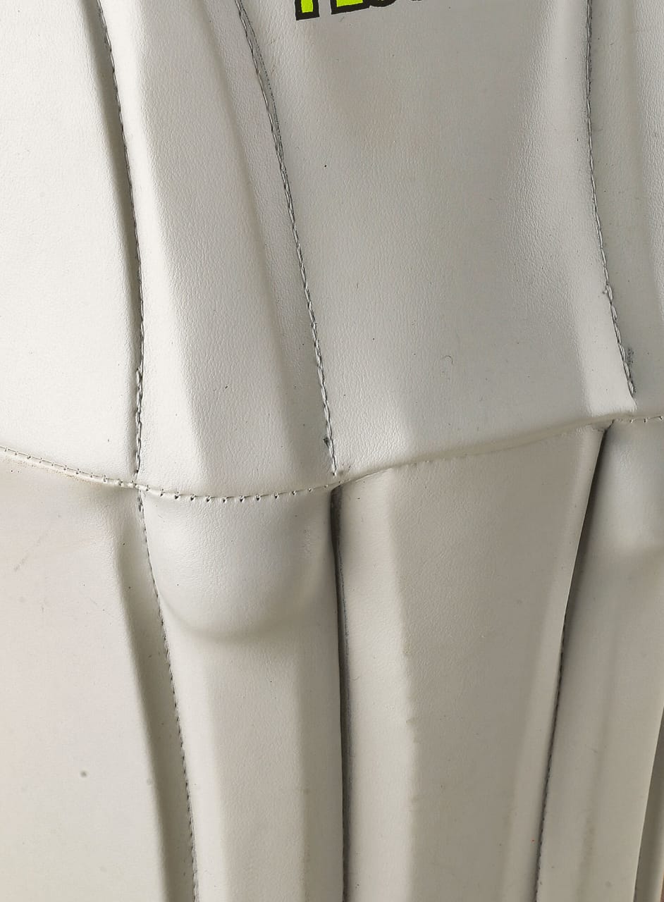 CA Plus 3000 Wicket Keeping Pads - Ali Sports