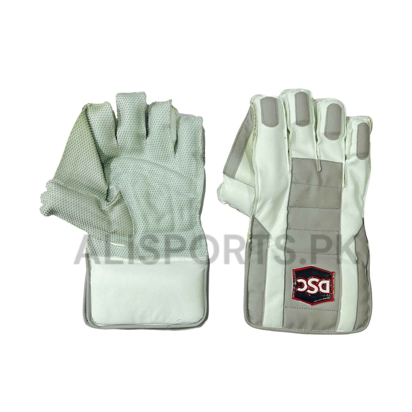 DSC Scotch Wicket Keeping Gloves