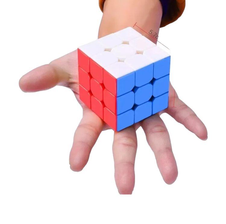 Rubik's Cube 3x3 with Carrying Case - Ali Sports