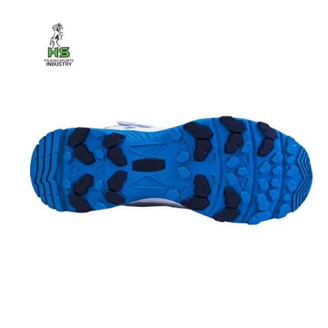 HS 41 Cricket Shoes - Ali Sports