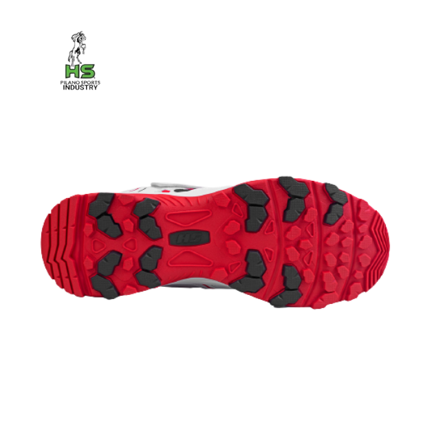 HS 41 Cricket Shoes - Ali Sports