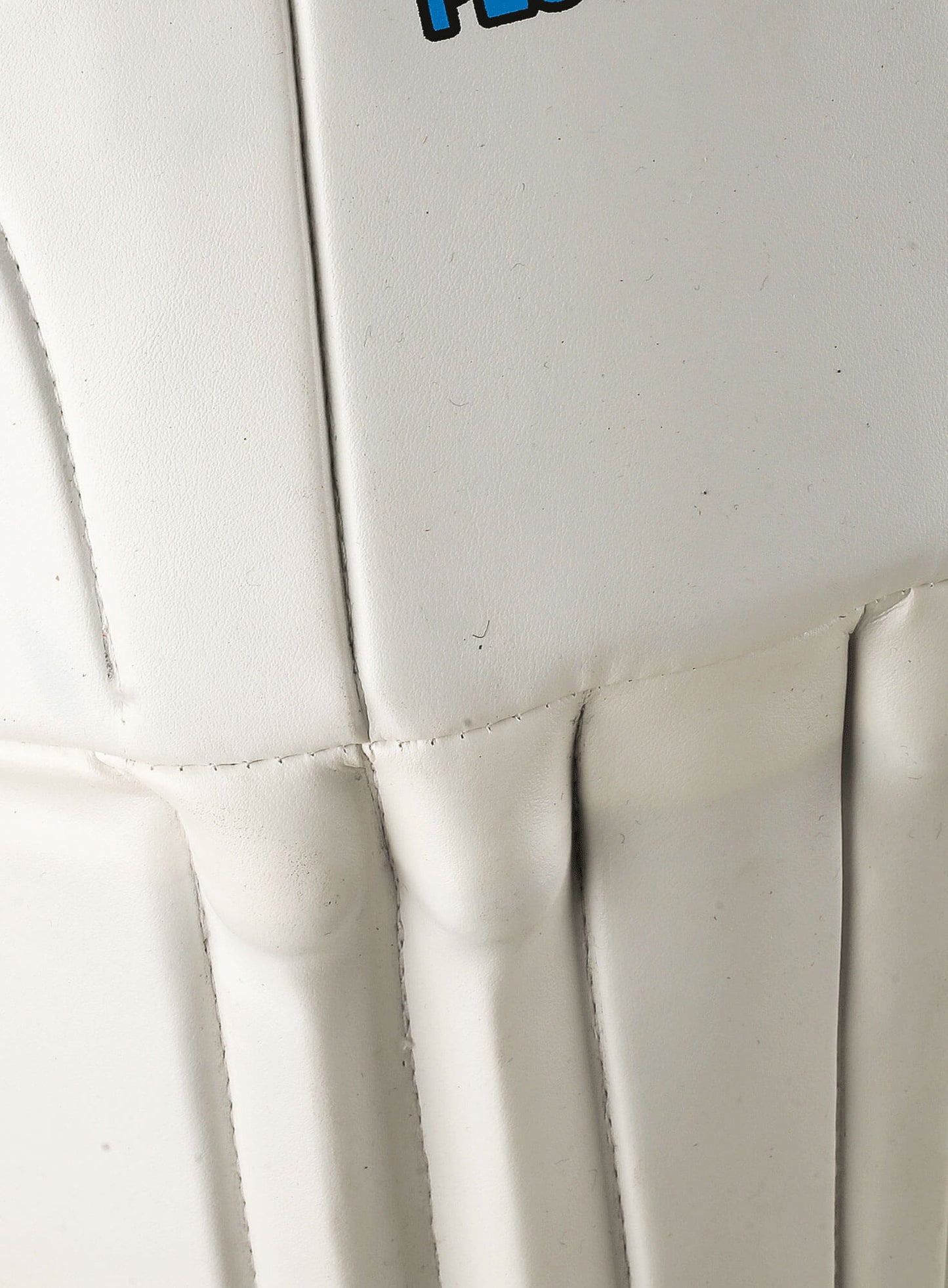 CA Plus 8000 Wicket Keeping Pads - Ali Sports