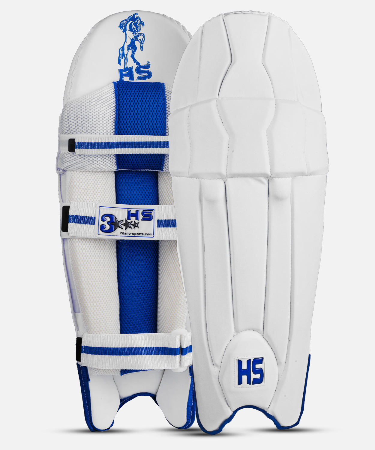 HS 3 Star Wicket Keeping Pads - Ali Sports