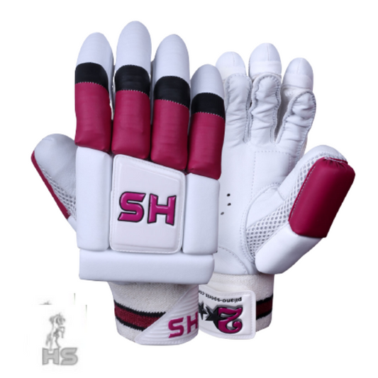 HS 2 Star Batting Gloves - Ali Sports