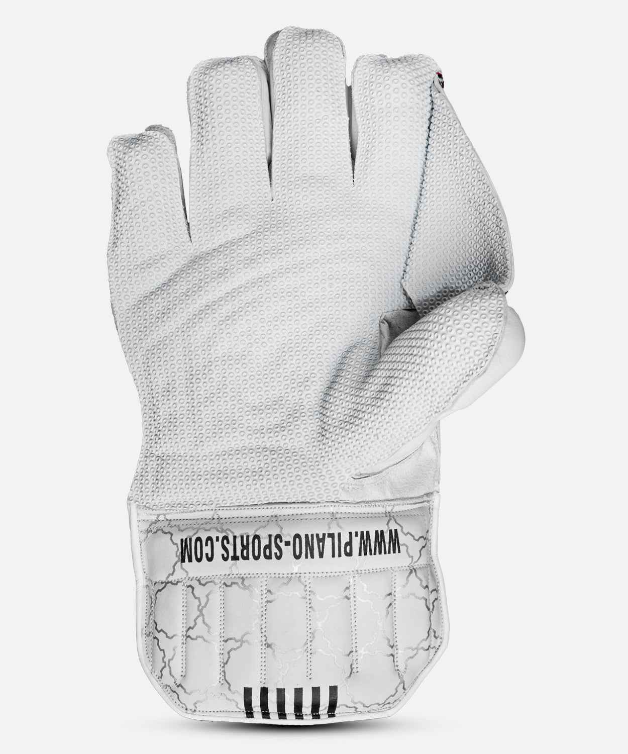 HS 41 Limited Edition Wicket Keeping Gloves