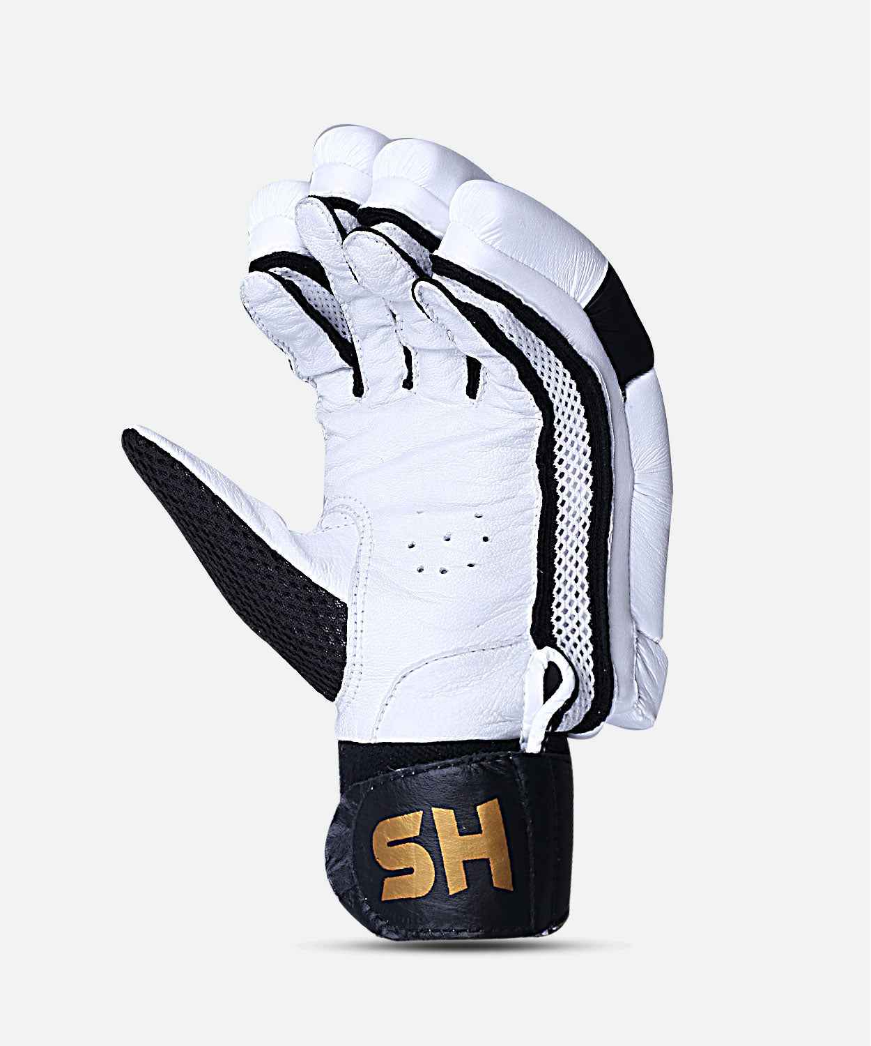 HS T20 Batting Gloves