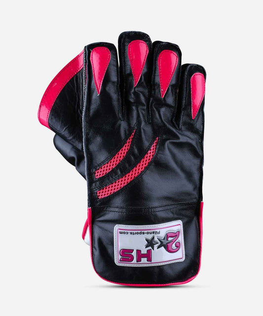 HS 2 Star Wicket Keeping Gloves