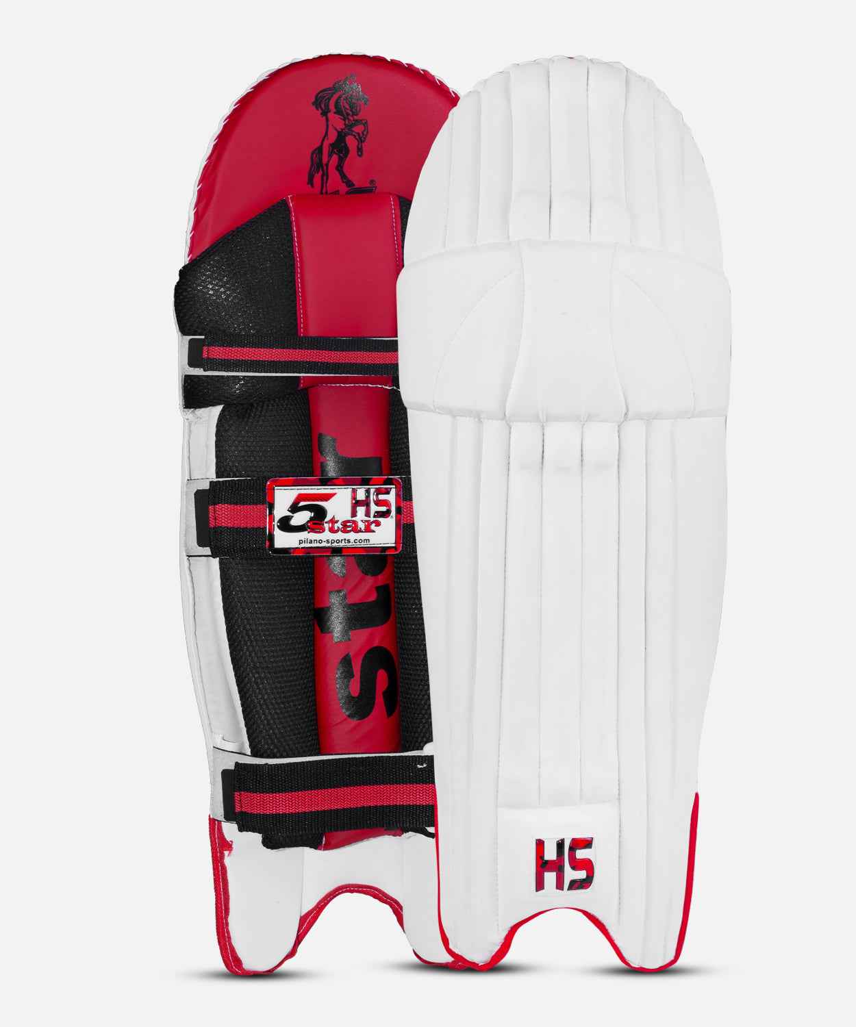HS 5 Star Wicket Keeping Pads