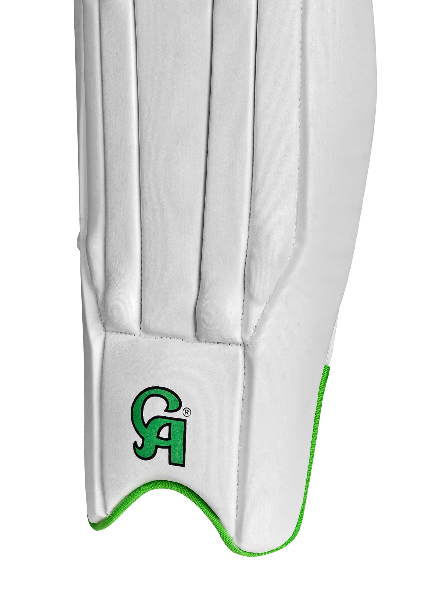 CA Gold 8000 Wicket Keeping Pads - Ali Sports