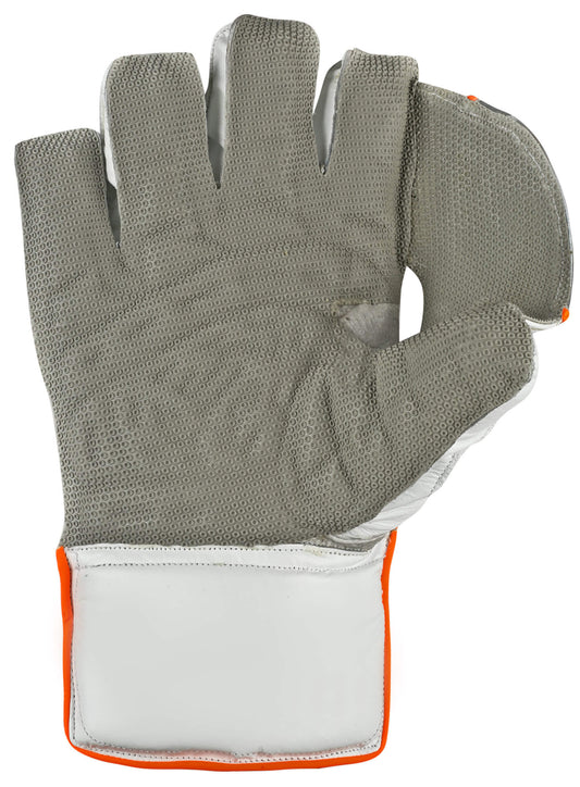 CA Plus 20K Wicket Keeping Gloves - Ali Sports