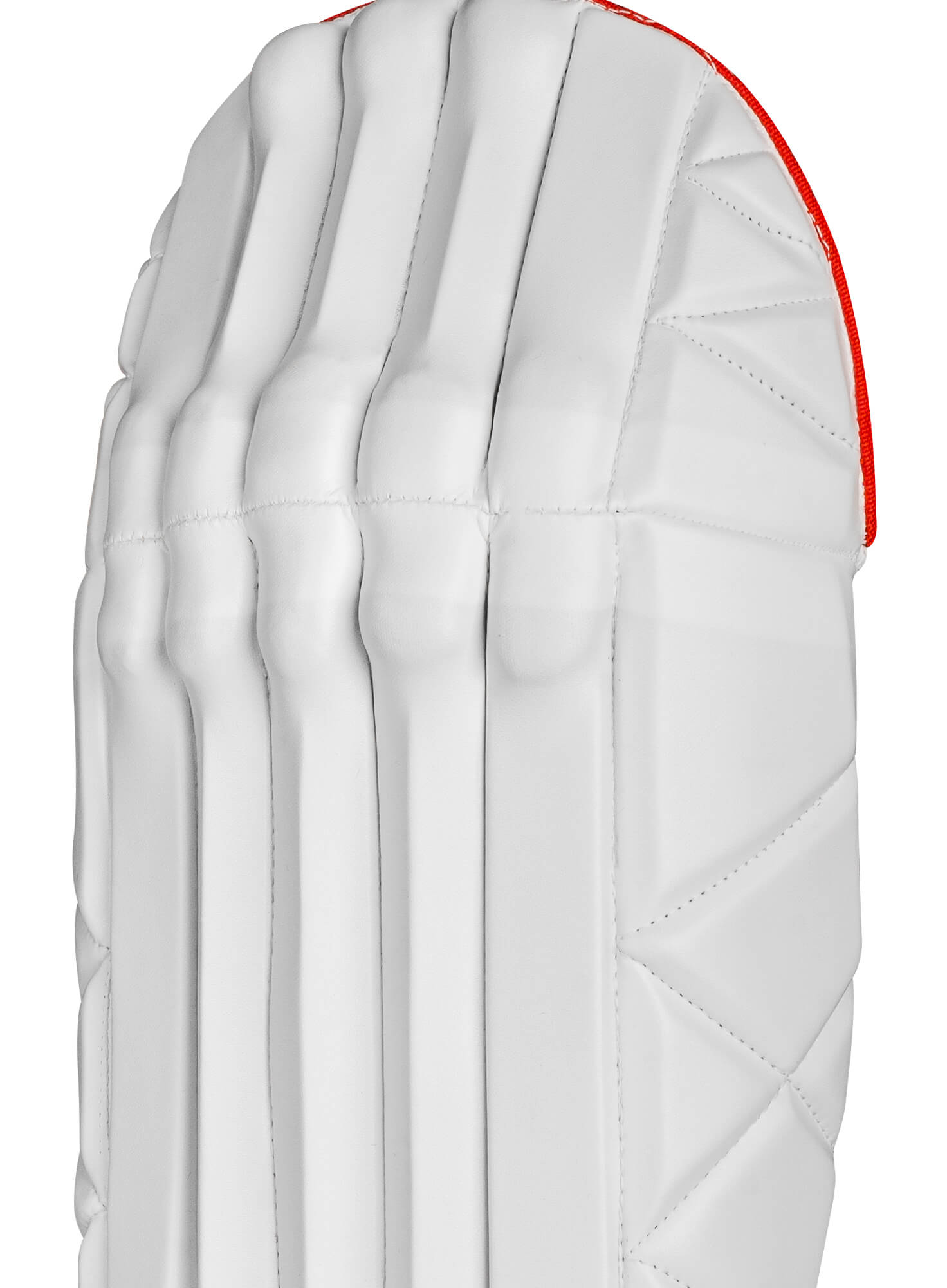 CA Gold Player Edition Wicket Keeping Pads - Ali Sports