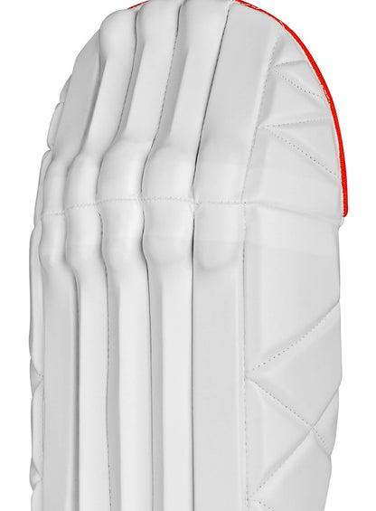 CA Gold Player Edition Wicket Keeping Pads - Ali Sports