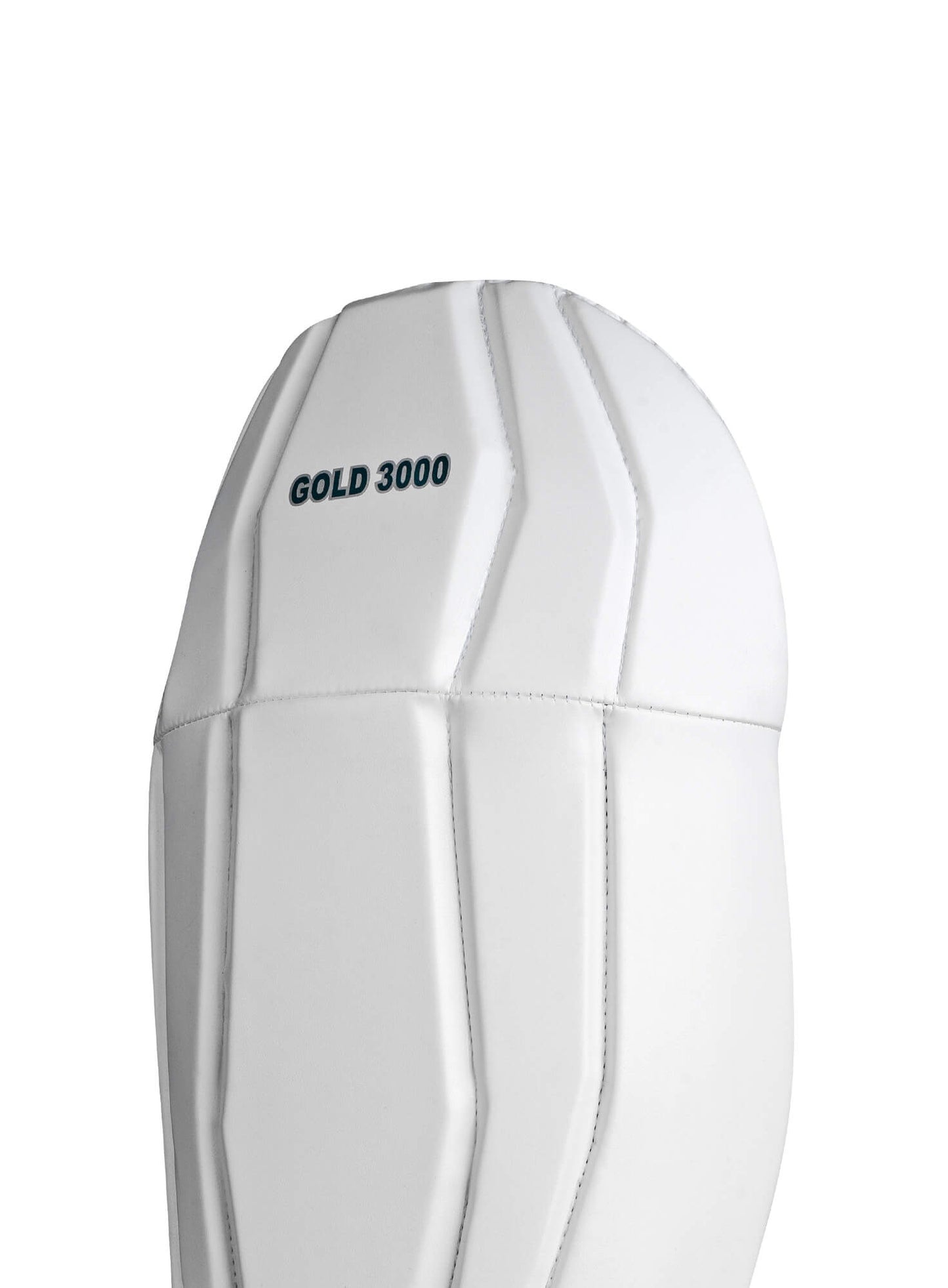 CA Gold 3000 Wicket Keeping Pads - Ali Sports