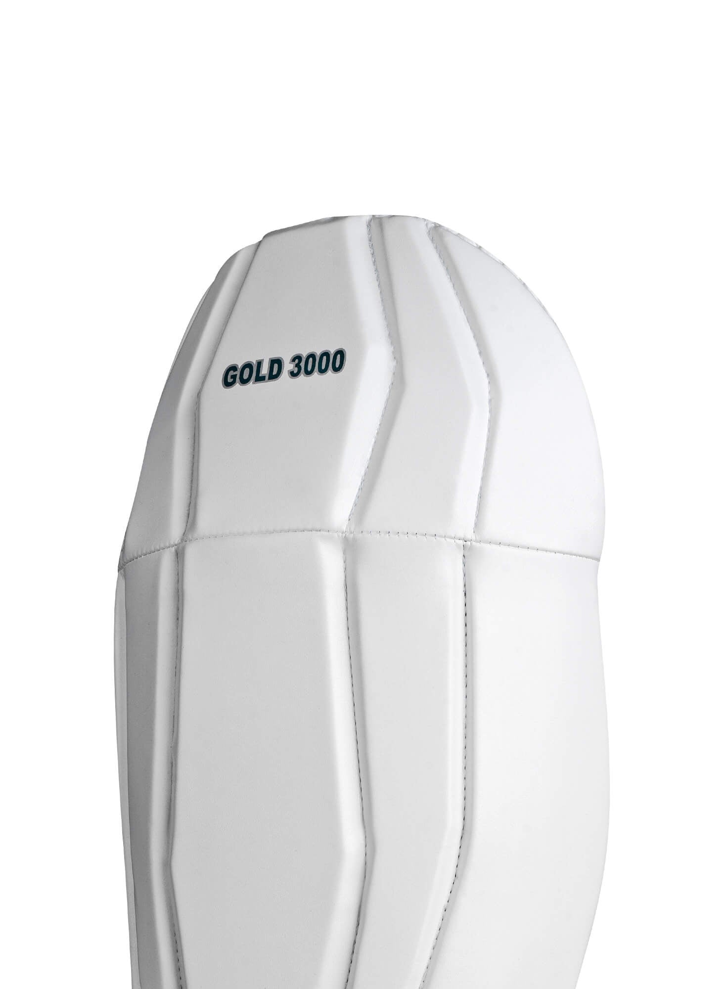 CA Gold 3000 Wicket Keeping Pads - Ali Sports