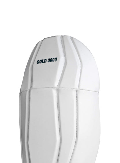 CA Gold 3000 Wicket Keeping Pads - Ali Sports