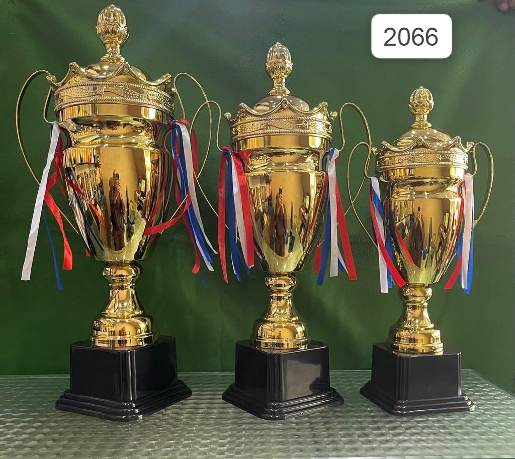 SP2066 Metal Trophy - Ali Sports