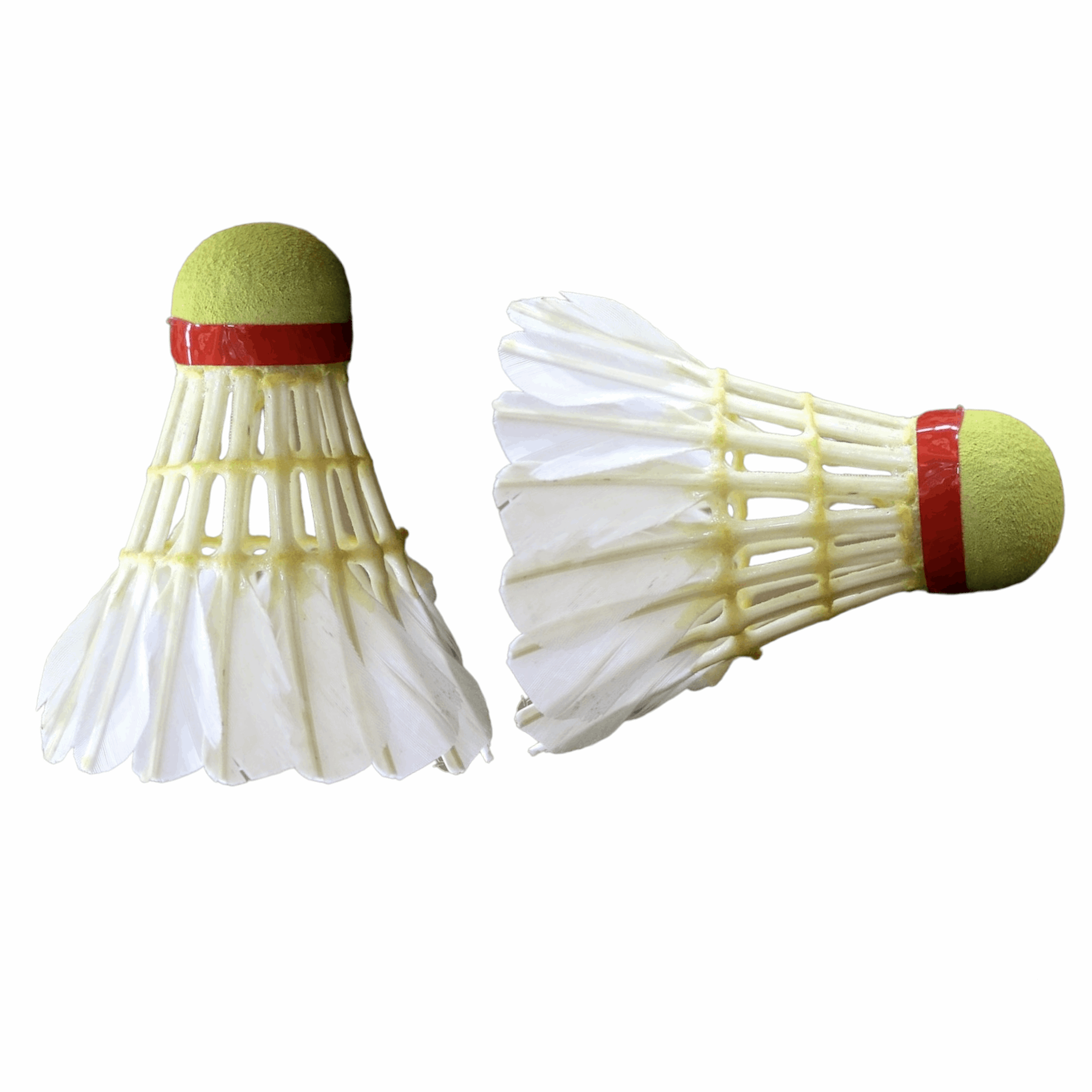 Shuttlelocks Badminton Shuttlecocks – Ali Sports