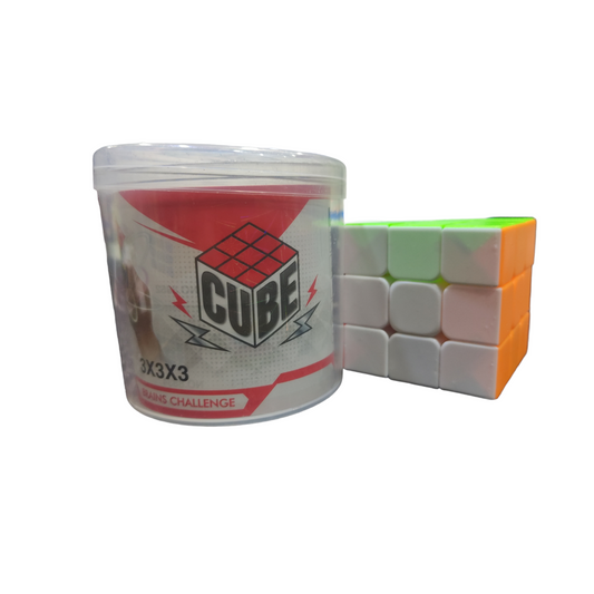 Rubik's Cube 3x3 with Carrying Case - Ali Sports