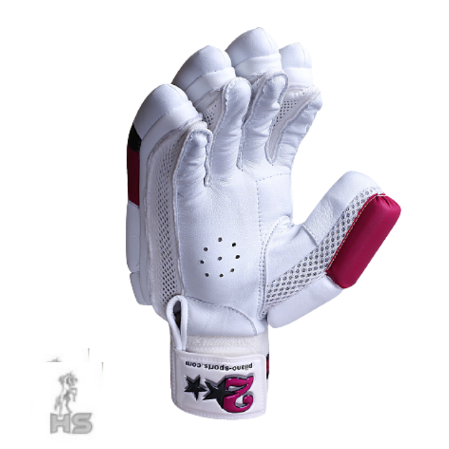 HS 2 Star Batting Gloves - Ali Sports