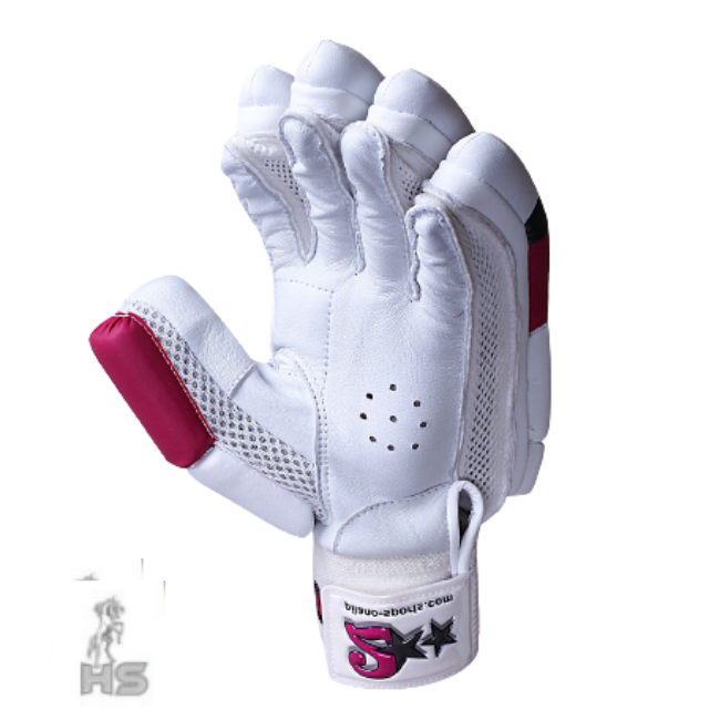 HS 2 Star Batting Gloves - Ali Sports