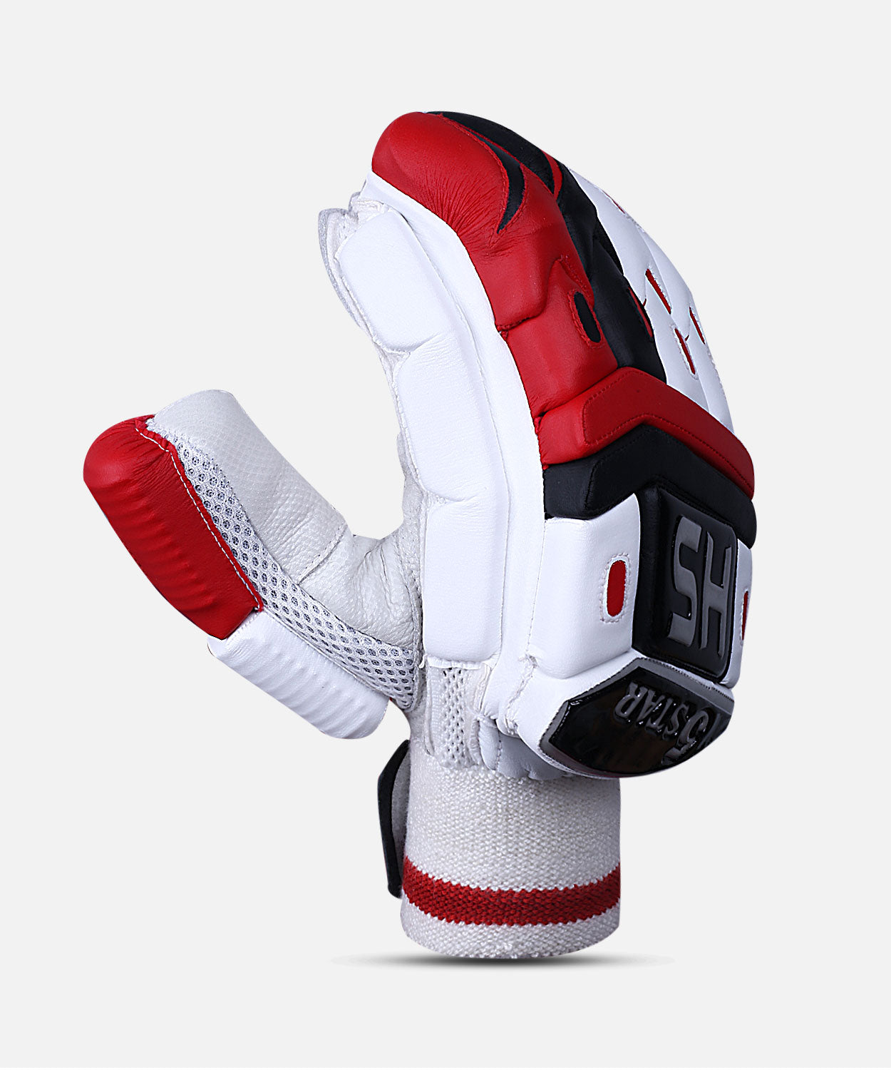 HS 5 Star Batting Gloves - Ali Sports