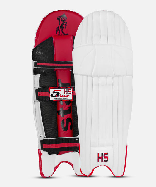 HS 5 Star Wicket Keeping Pads - Ali Sports